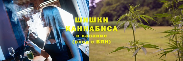 2c-b Медвежьегорск