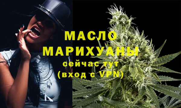 гидра Мегион