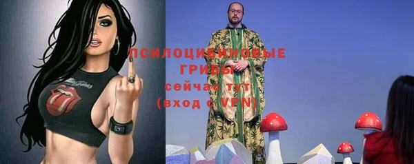 2c-b Медвежьегорск