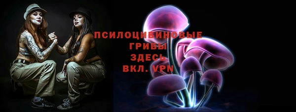 гидра Мегион