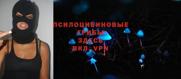 2c-b Медвежьегорск